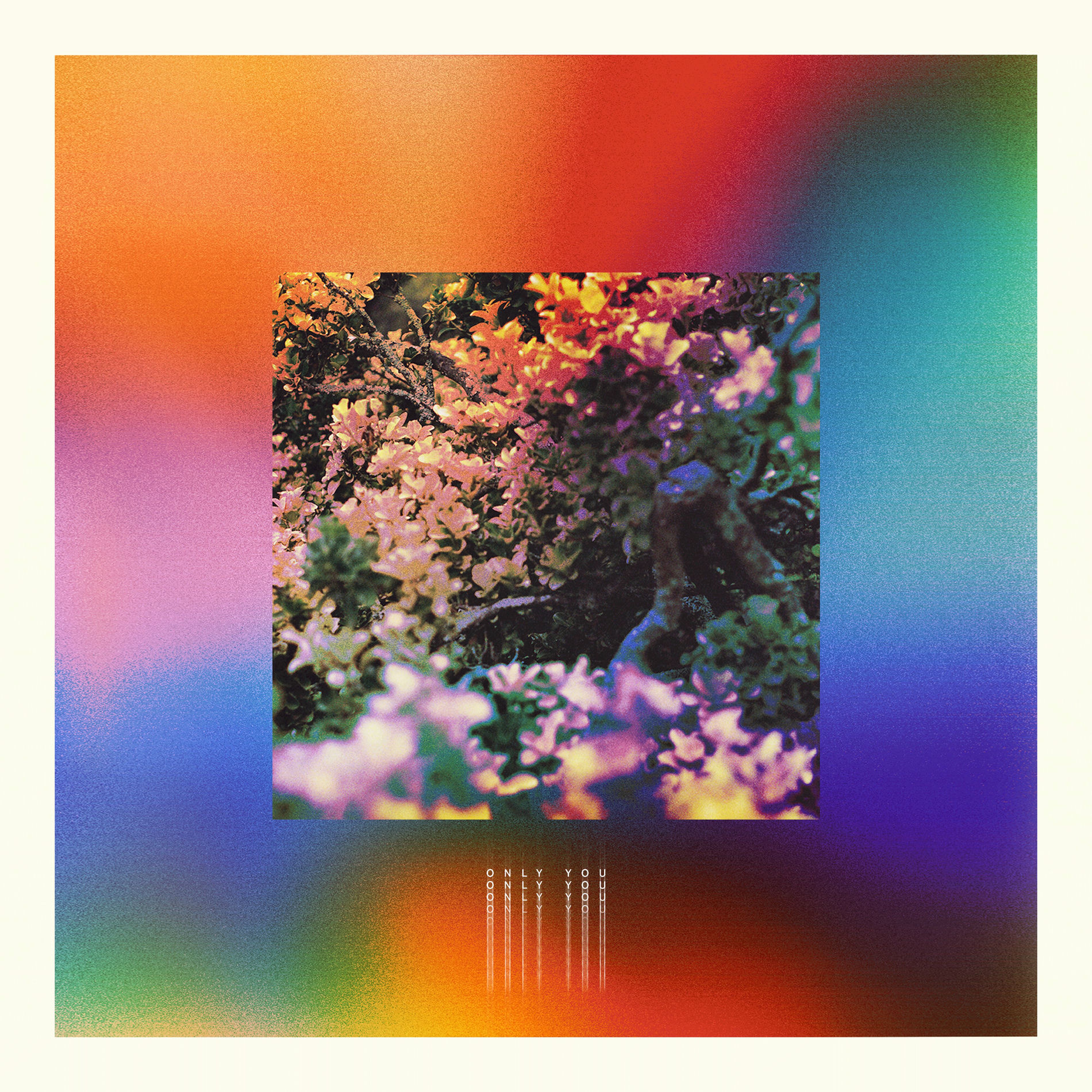 Album cover of Only You