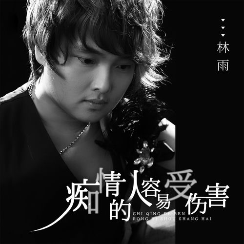 痴情的人容易受伤害 (DJ版)