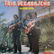 La Copa Rota by Trio Vegabajeño album cover