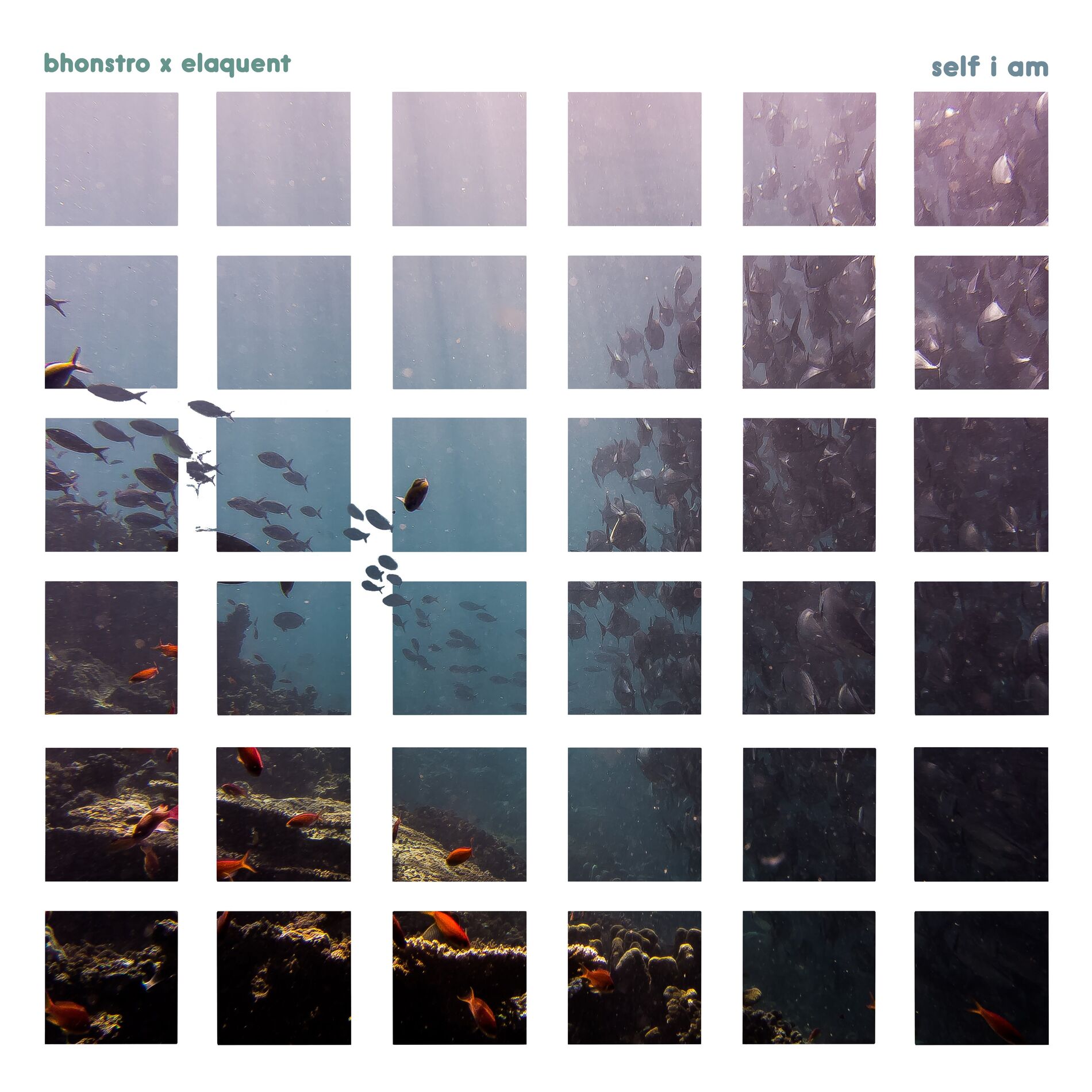 Album cover of Self I Am
