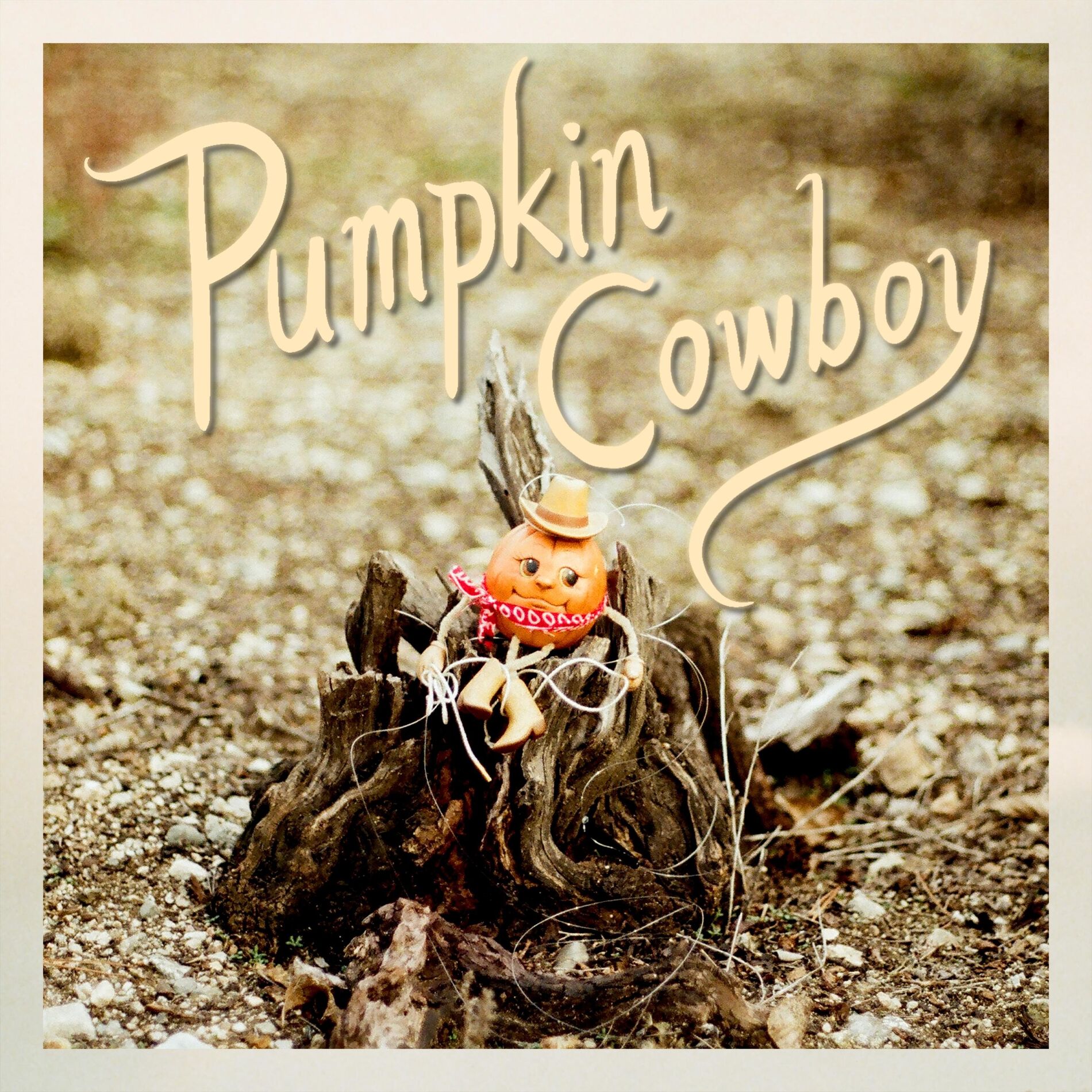 Album cover of Pumpkin Cowboy