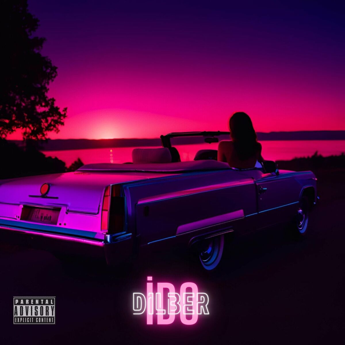 Album cover of Dilber