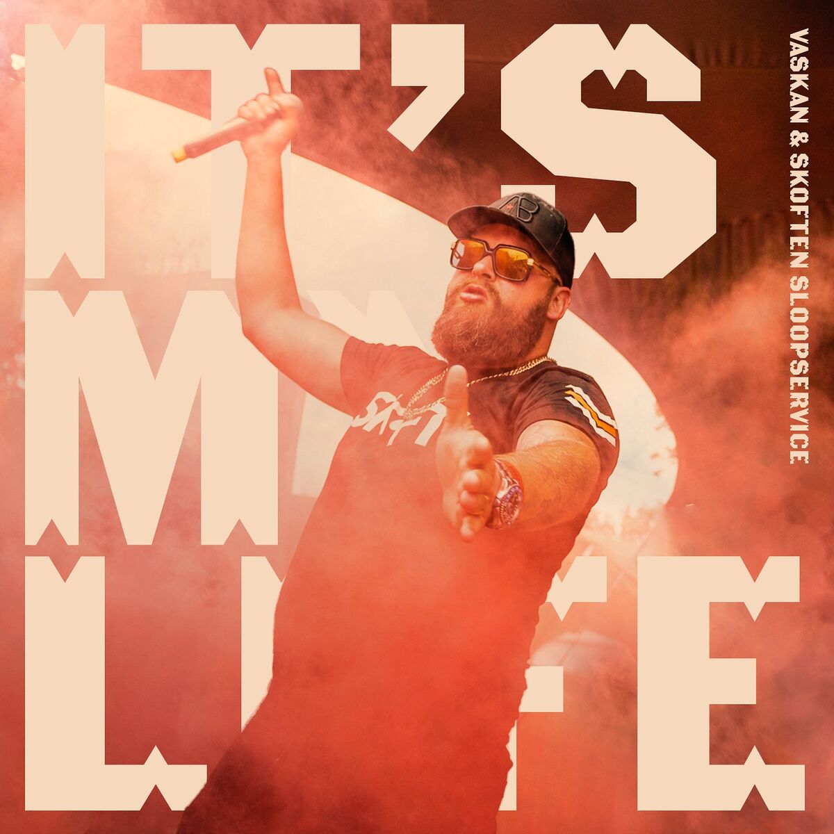 Album cover of It's My Life