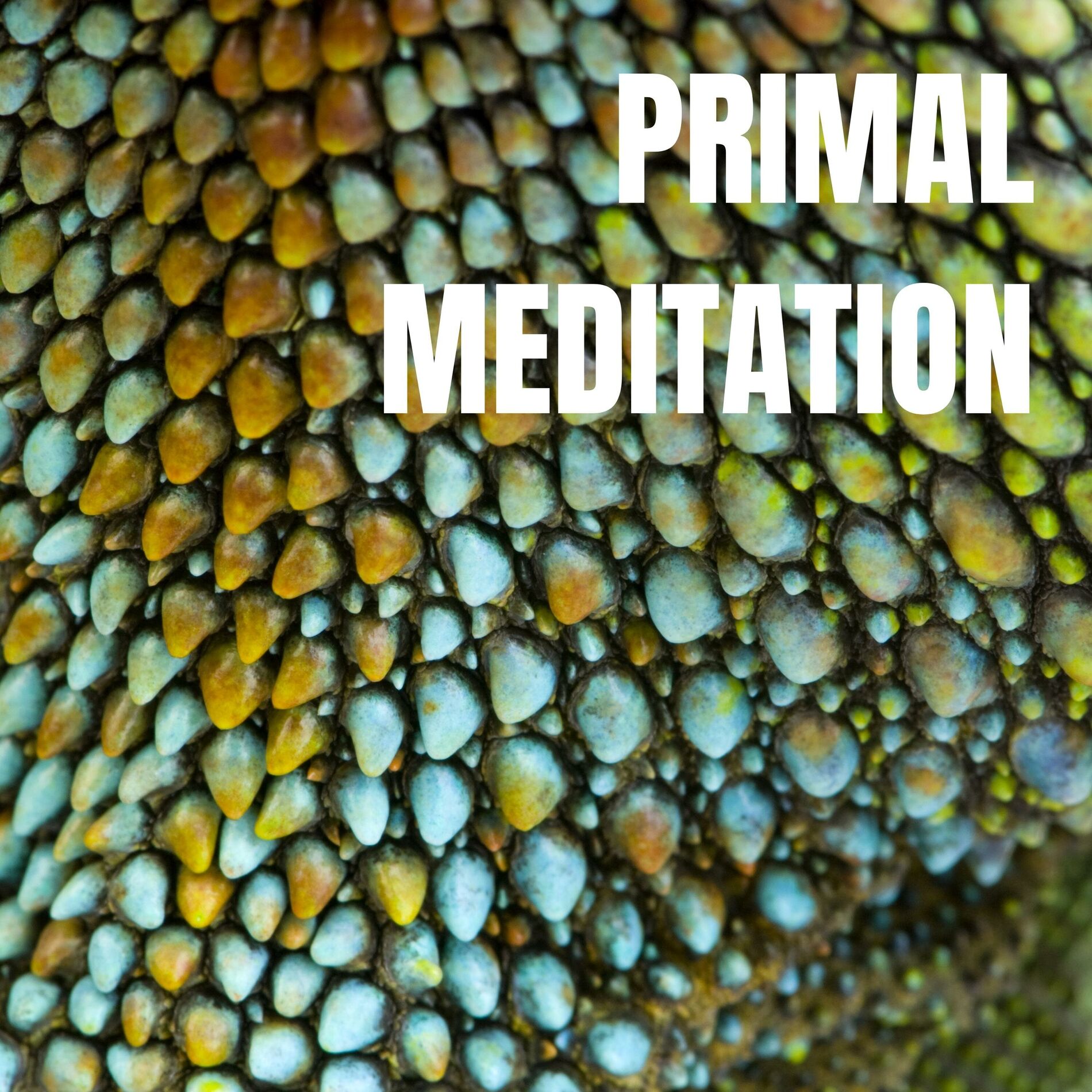 Album cover of Primal Meditation