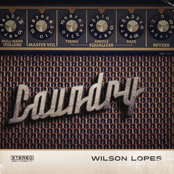 Cover of Laundry