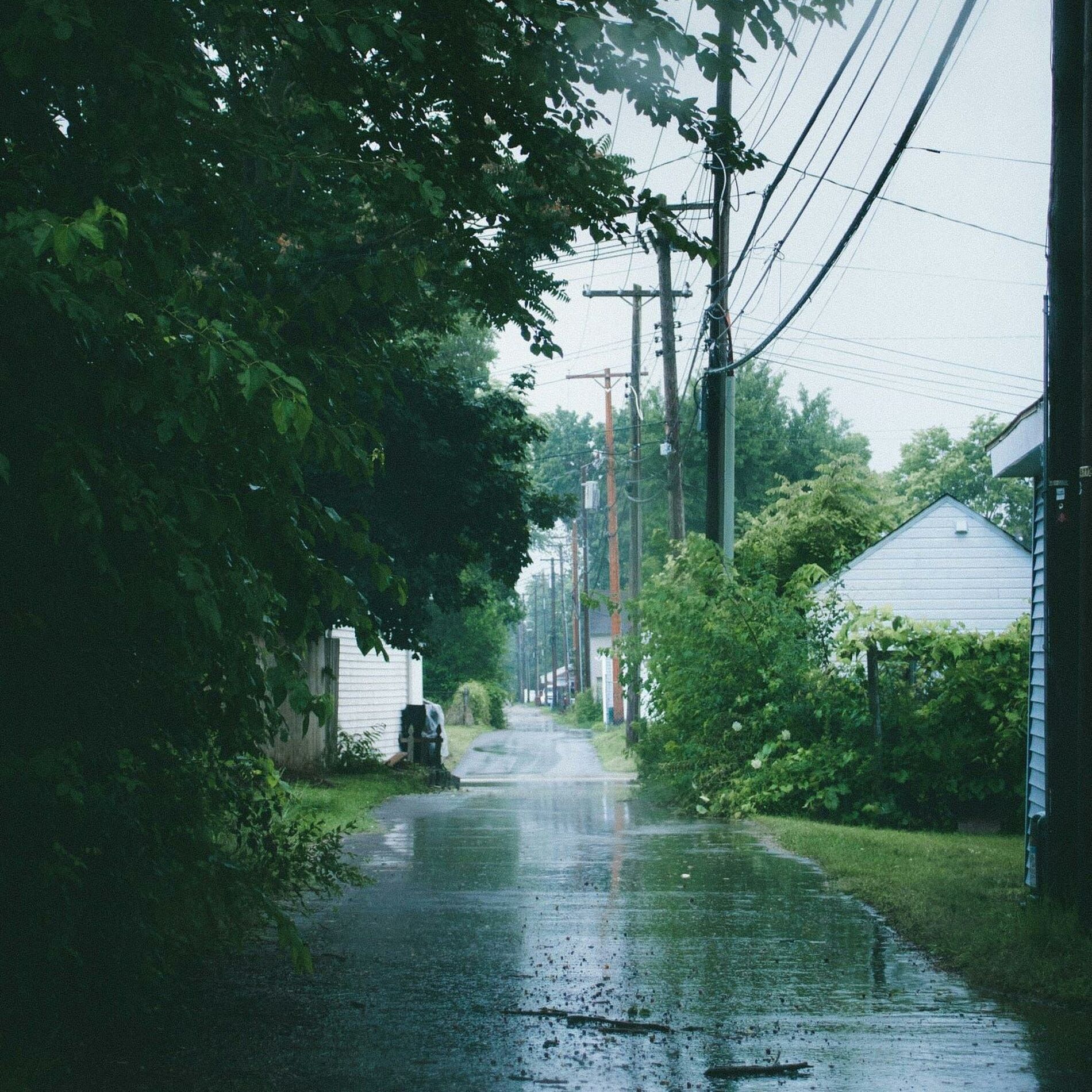 Album cover of I like the rain (feat. Rin & Vedo Cherry)