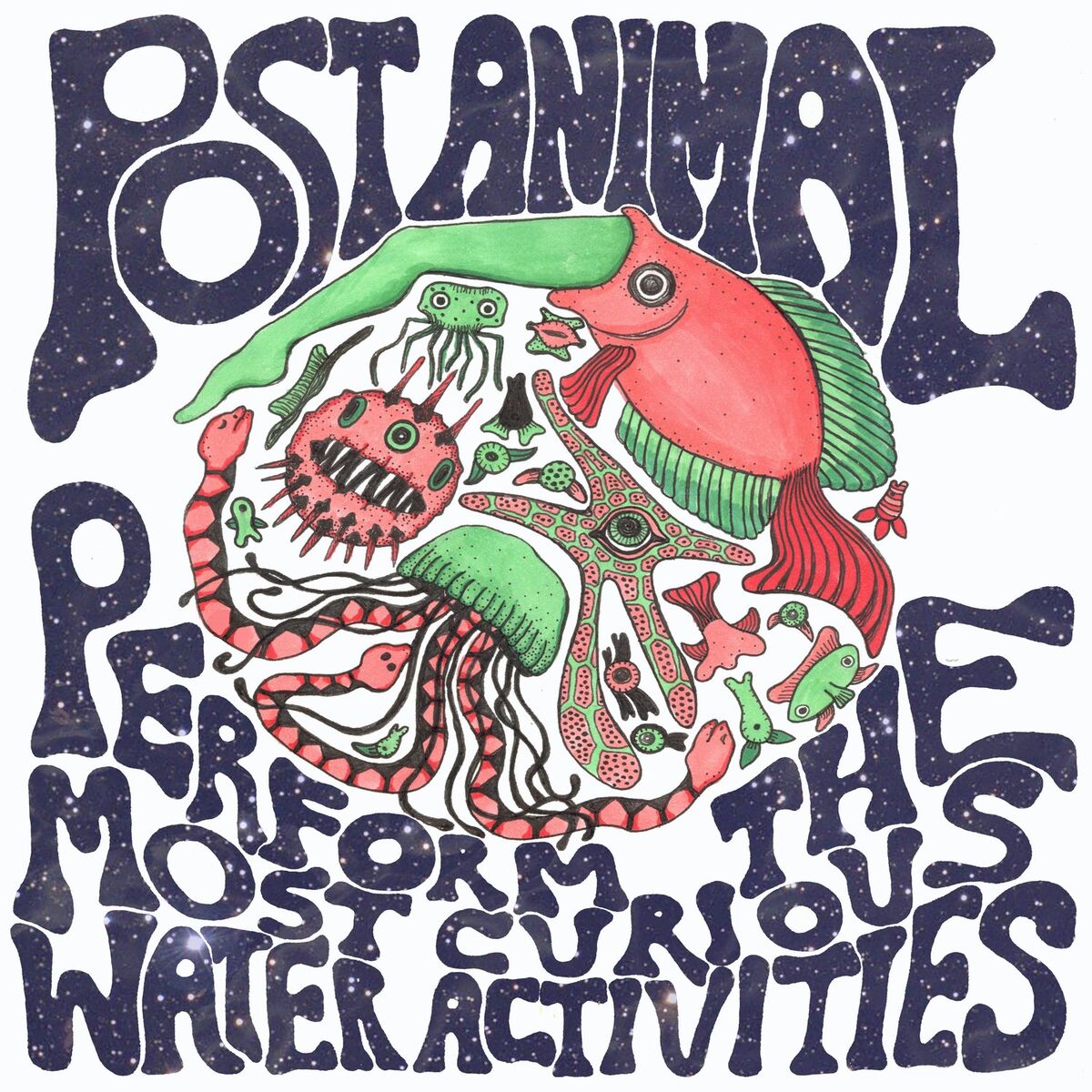Album cover of Post Animal Perform the Most Curious Water Activities