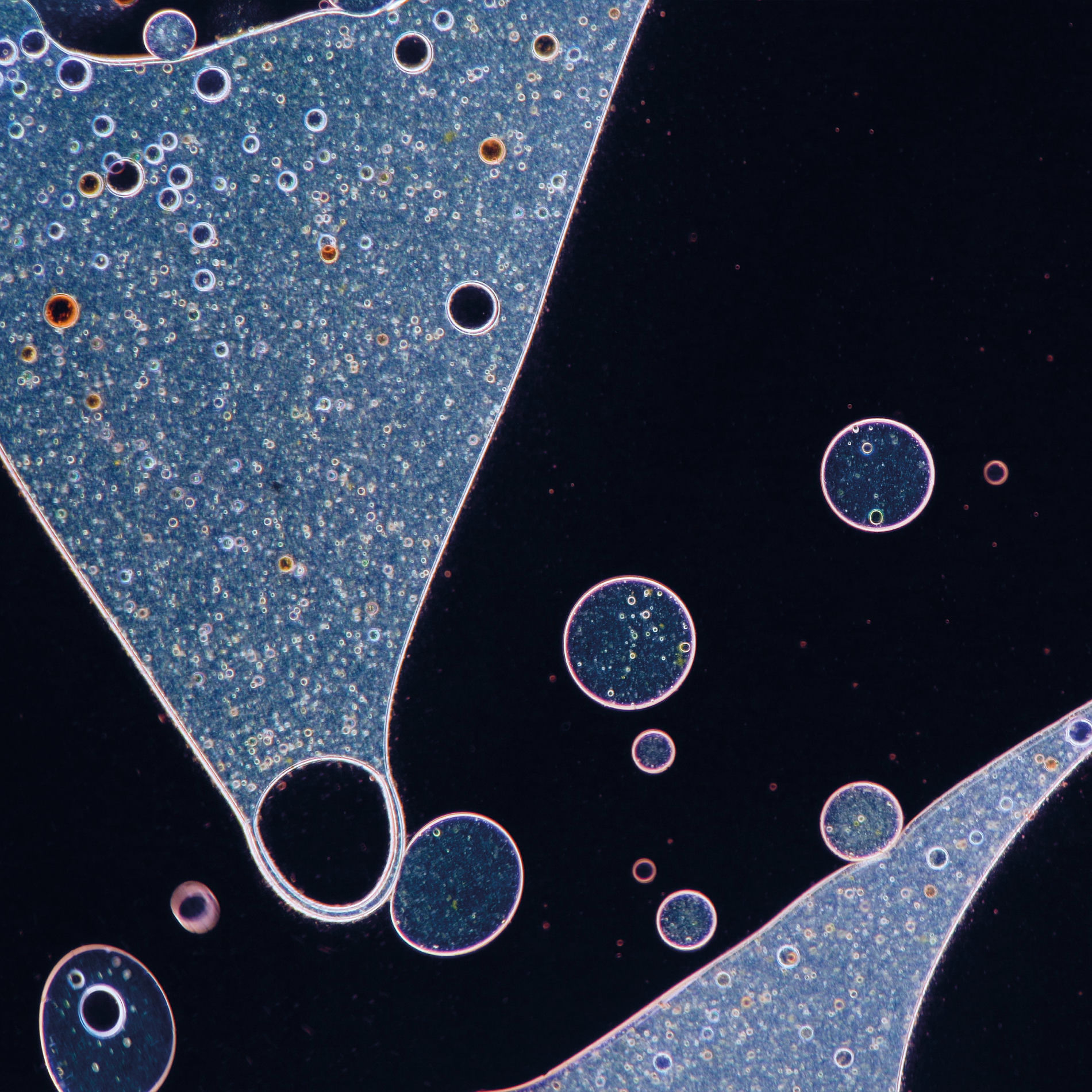 Album picture of Glow (Foam and Sand Rework)