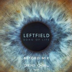 Cover of Song of Life (Betoko Remix)