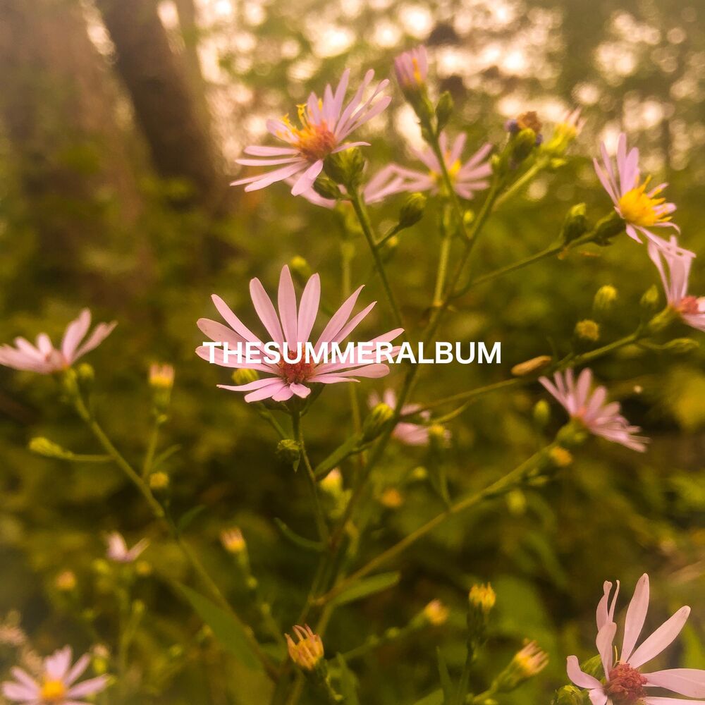 Picture of The Summer Album