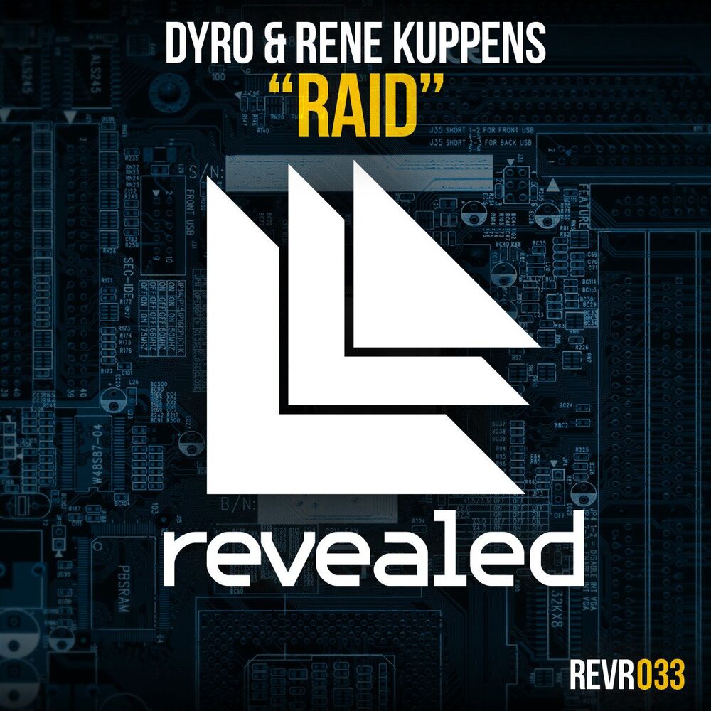 Picture of Raid