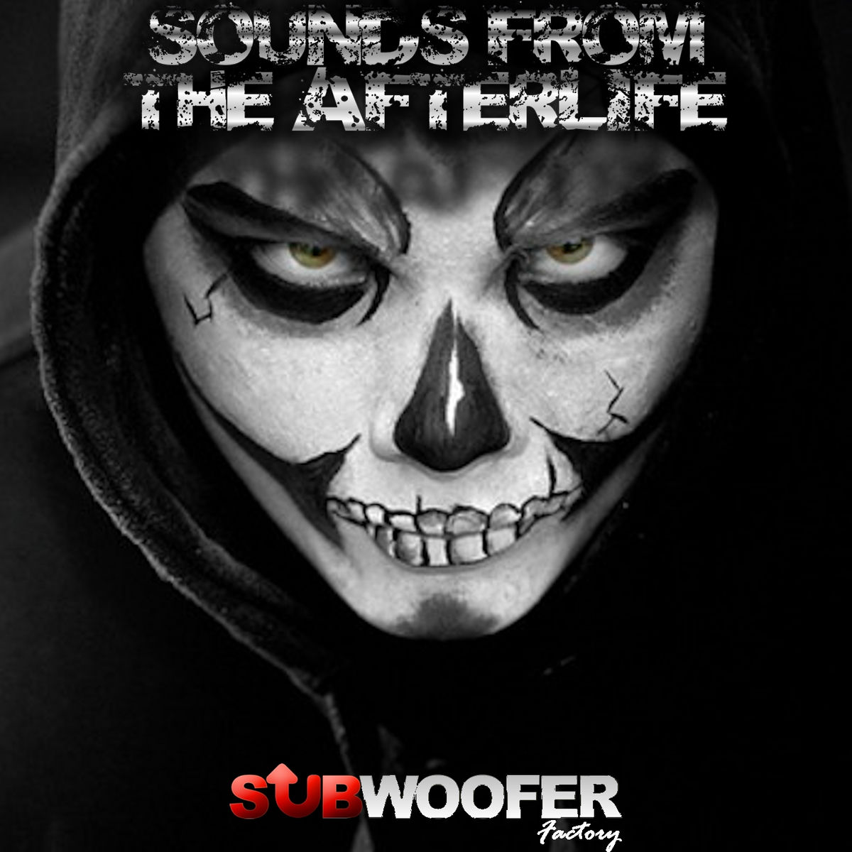 Album cover of Sounds from the Afterlife