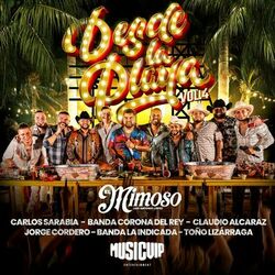 Cover of Desde La Playa, Vol. 4 (En Vivo)