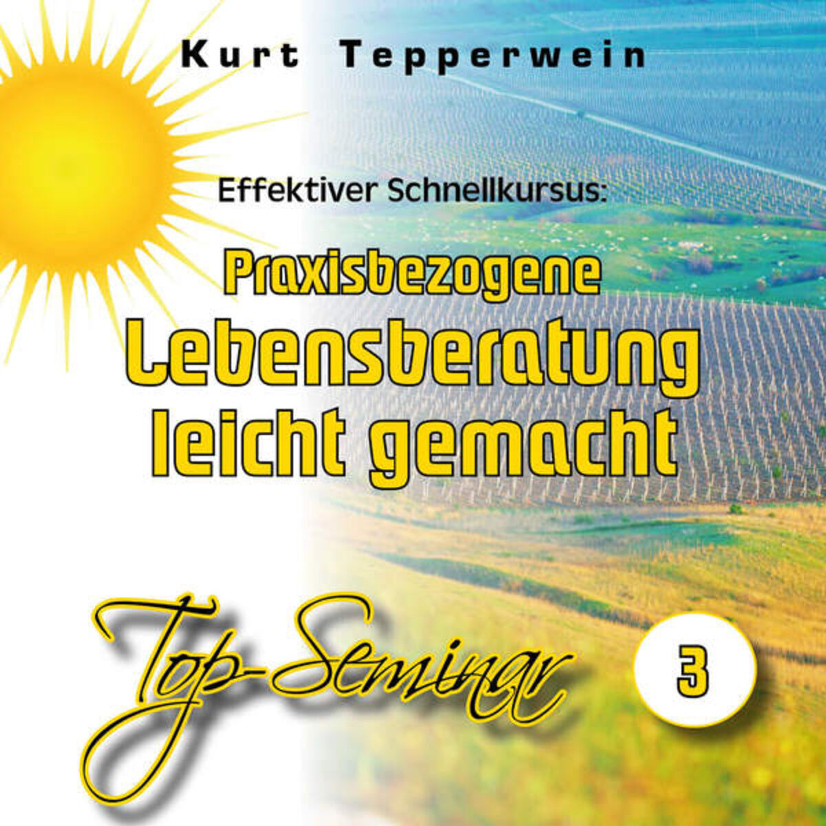 Album cover of Effektiver Schnellkursus: Praxisbezogene Lebensberatung leicht gemacht (Top-Seminar Teil 3)