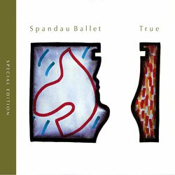 Cover of True (Special Edition)