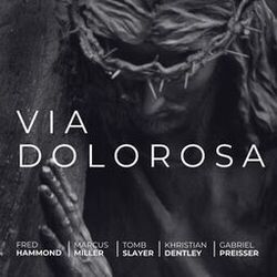Cover of Via Dolorosa