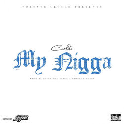 Cover of My Nigga