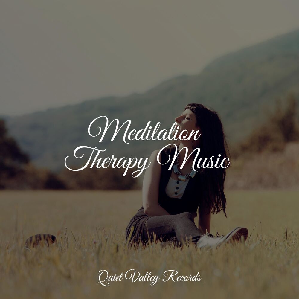 Picture of Meditation Therapy Music