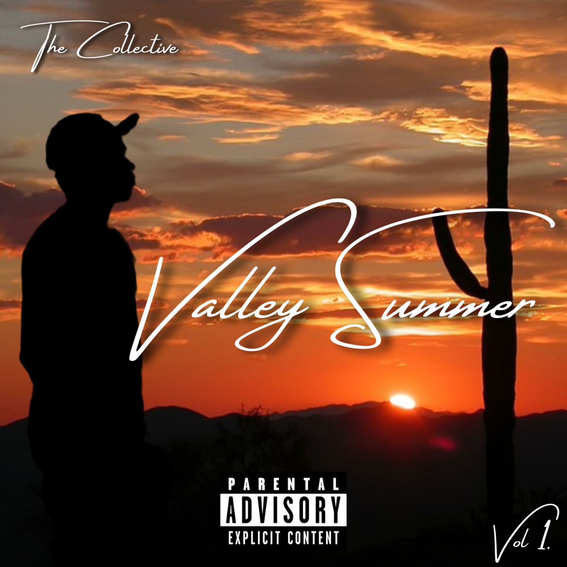 Album cover of Valley Summer