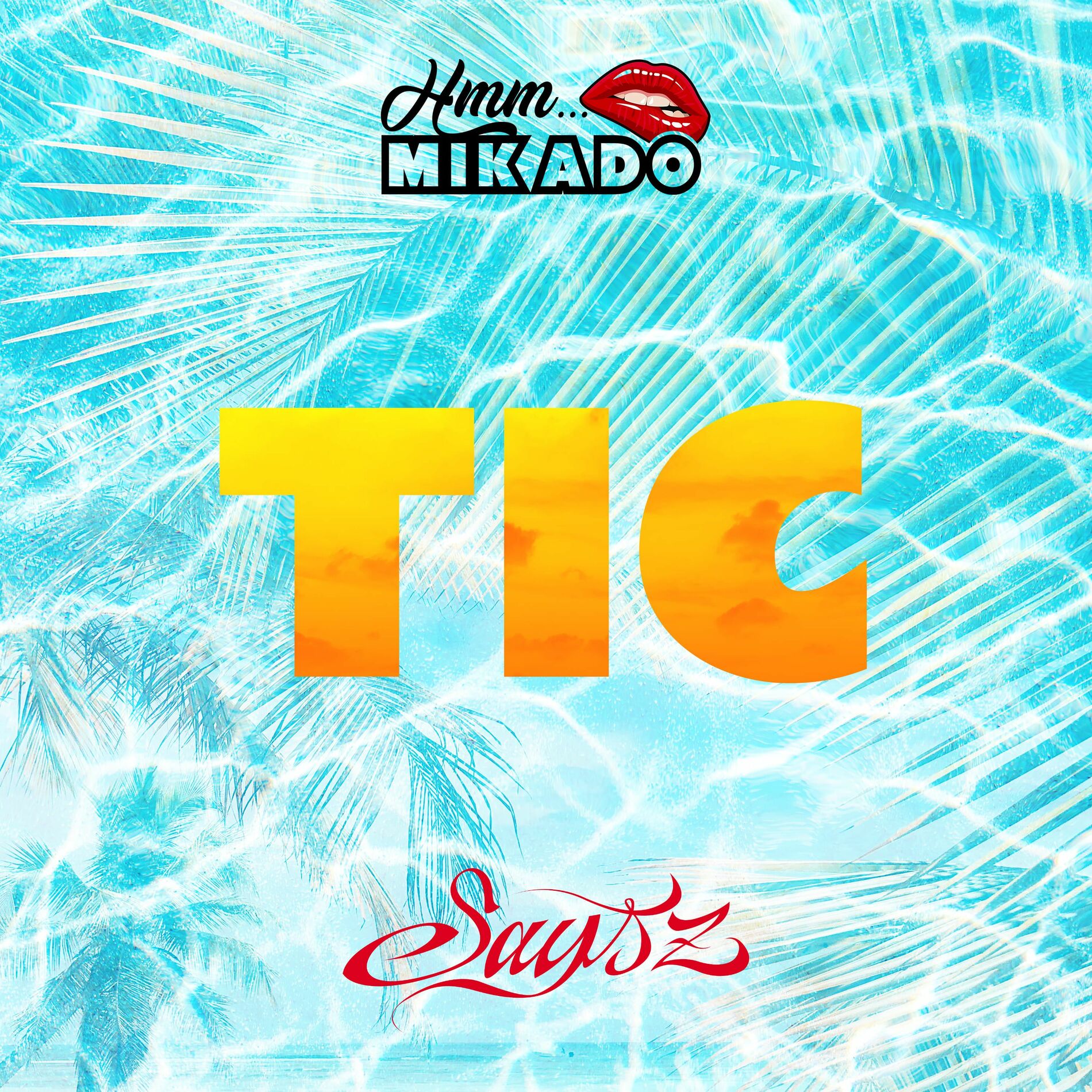 Album cover of Tic