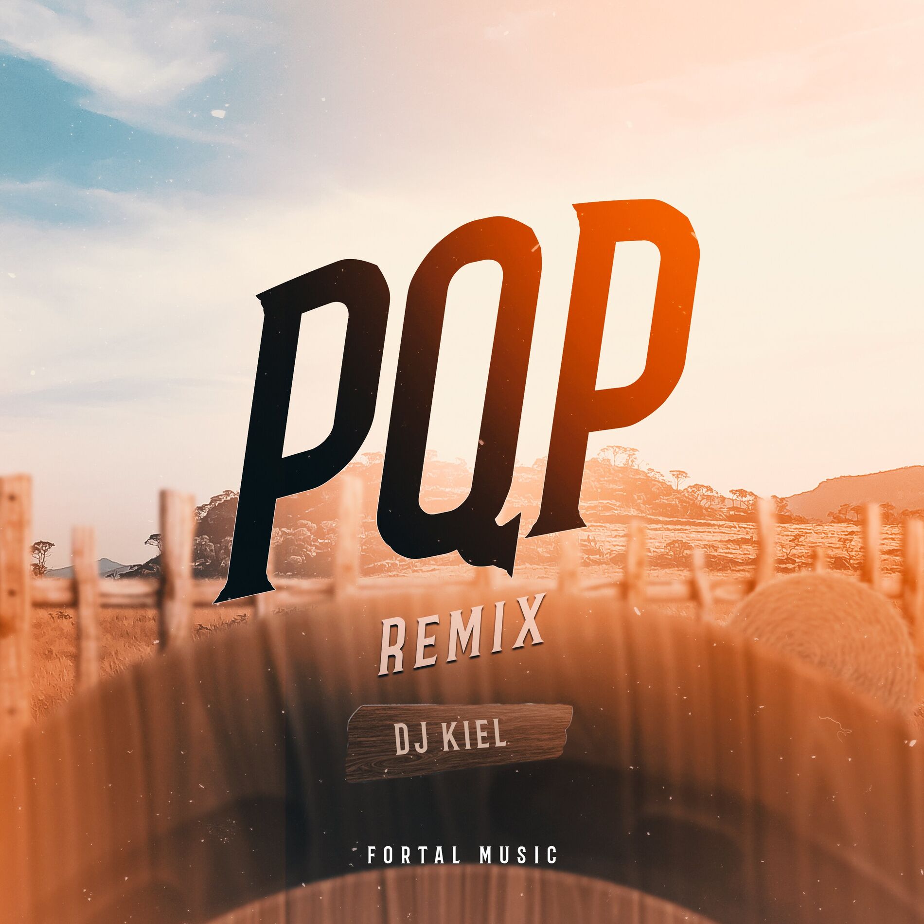 Album cover of PQP (Remix)
