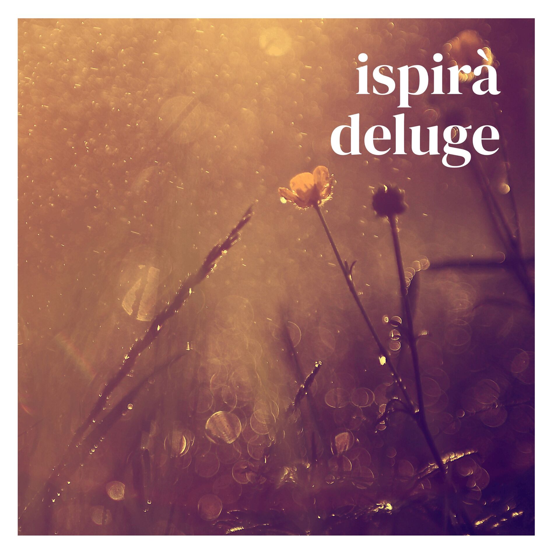 Album cover of deluge