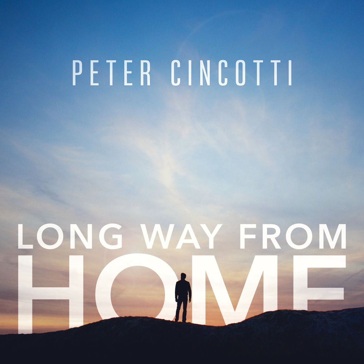 Album cover of Long Way from Home