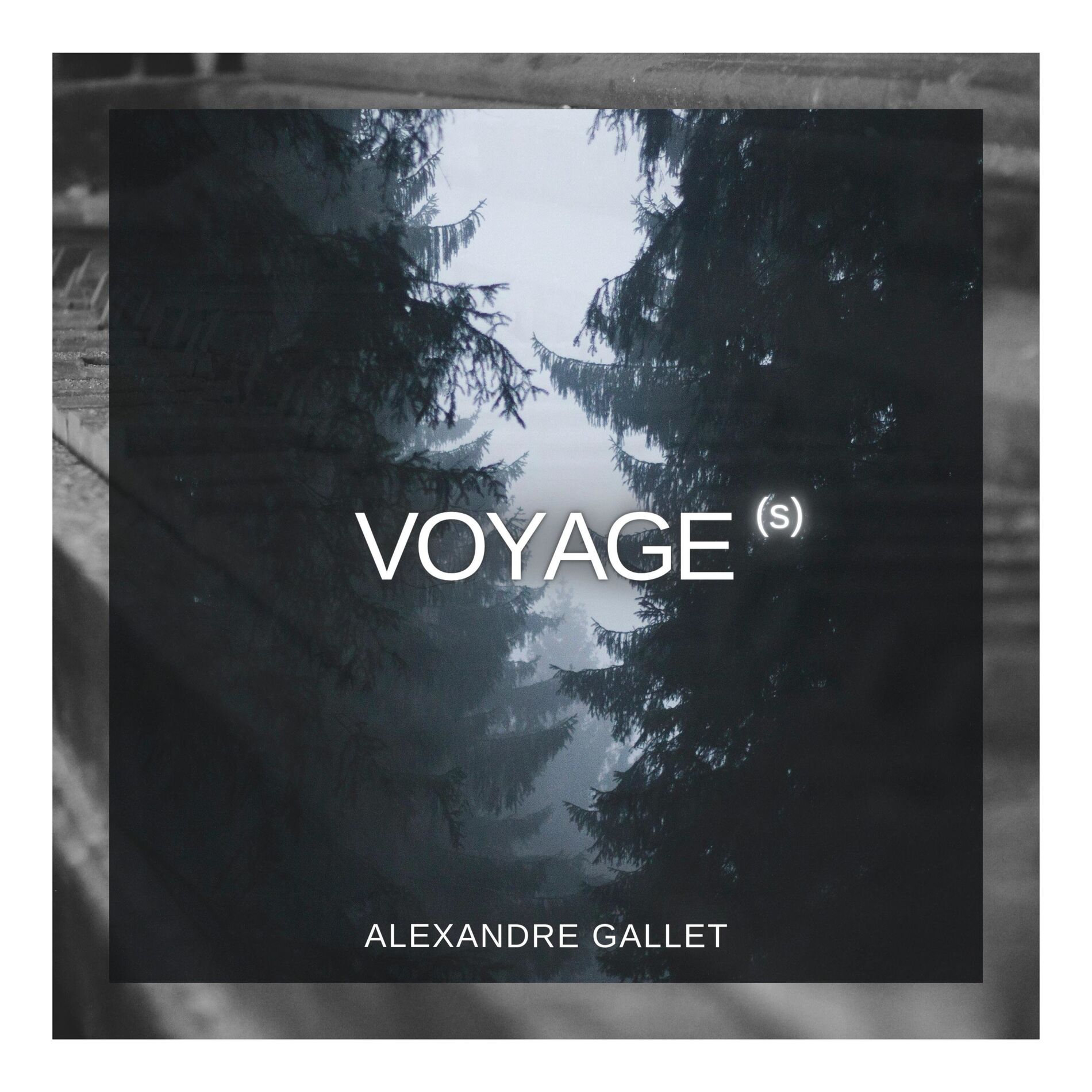 Album cover of VOYAGE(s)