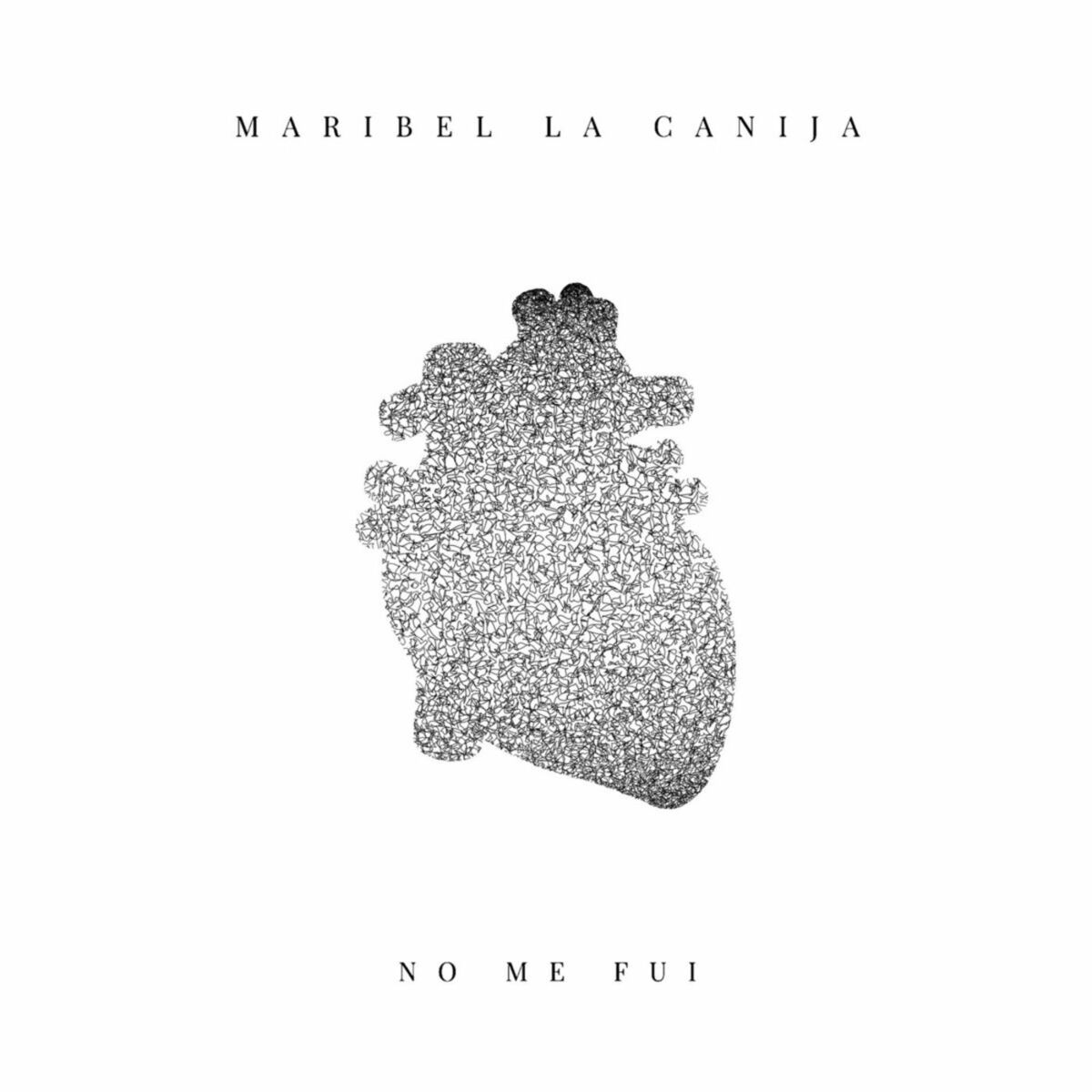 Album cover of No Me Fui