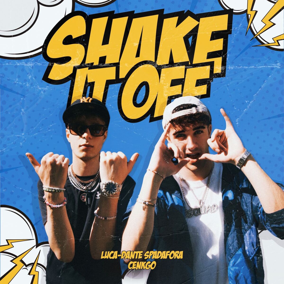 Album cover of SHAKE IT OFF