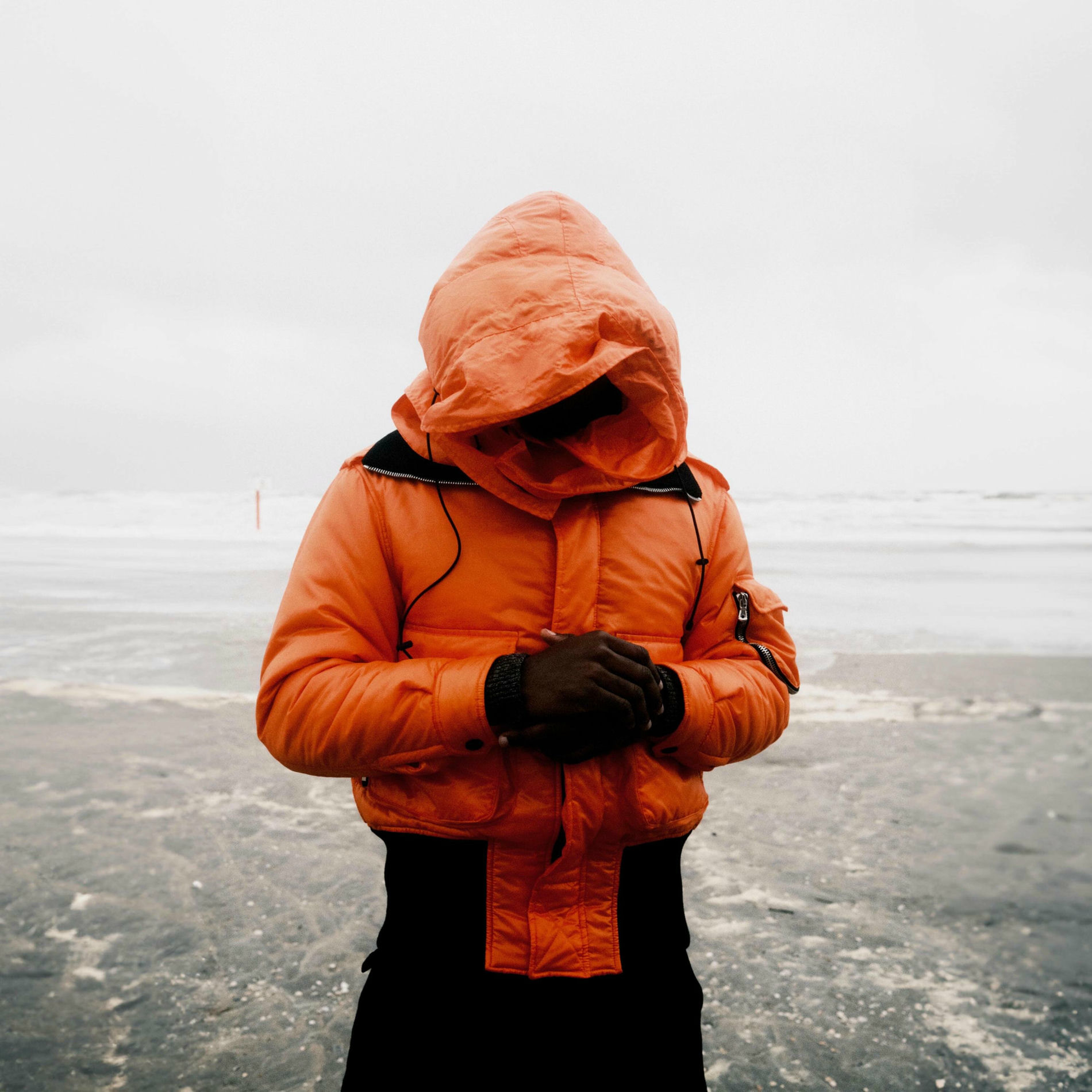 Album cover of OCARINA FOREST