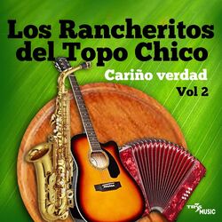 Cover of Cariño Verdad