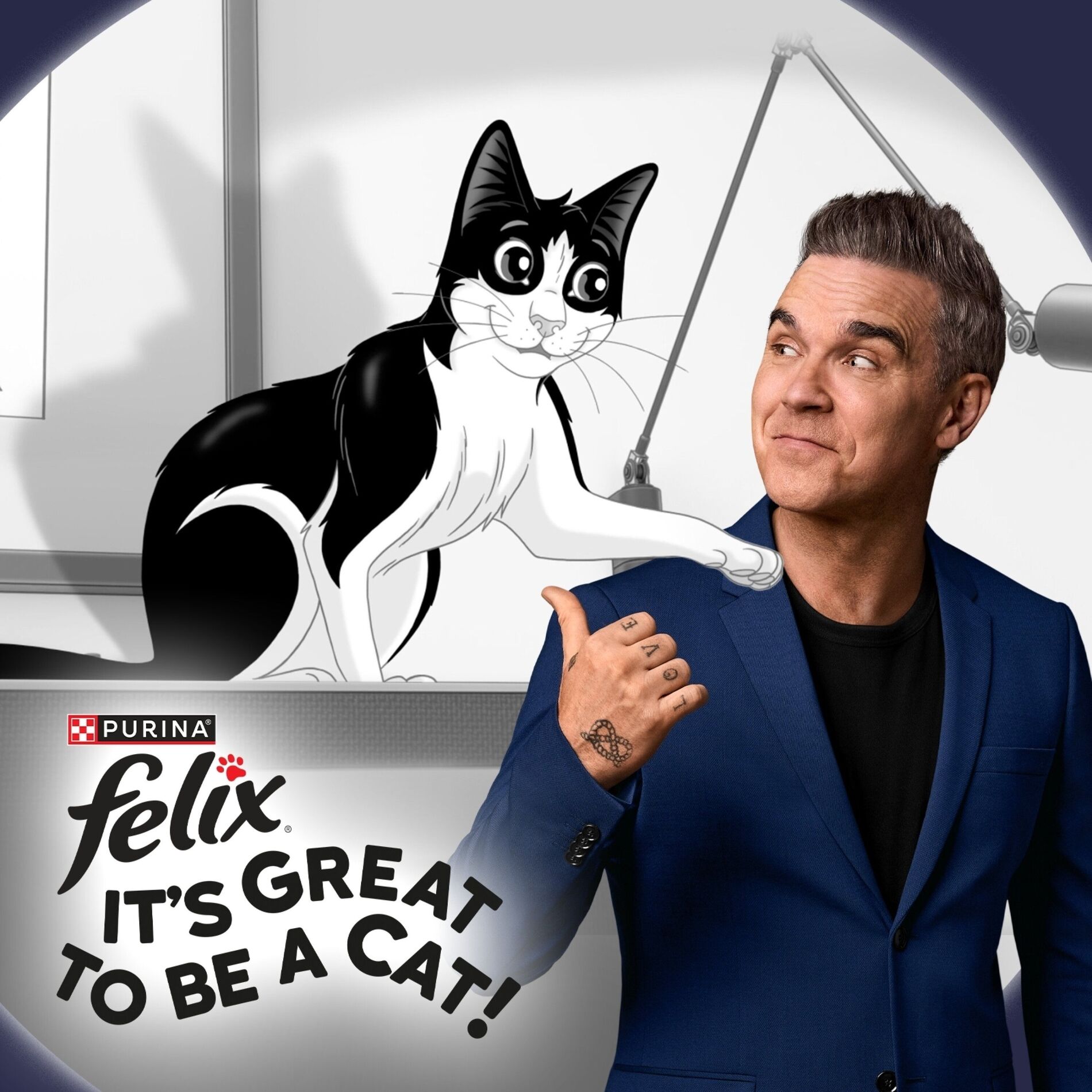 Album cover of It's Great To Be A Cat 2025