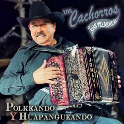 Cover of Polkeando y Huapangueando