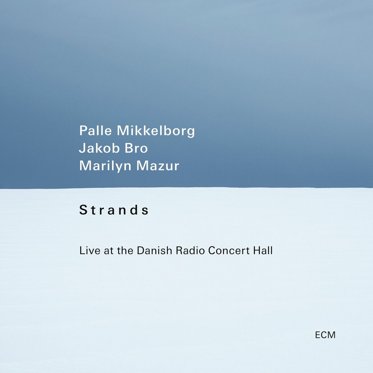 Album cover of Strands (Live at the Danish Radio Concert Hall)
