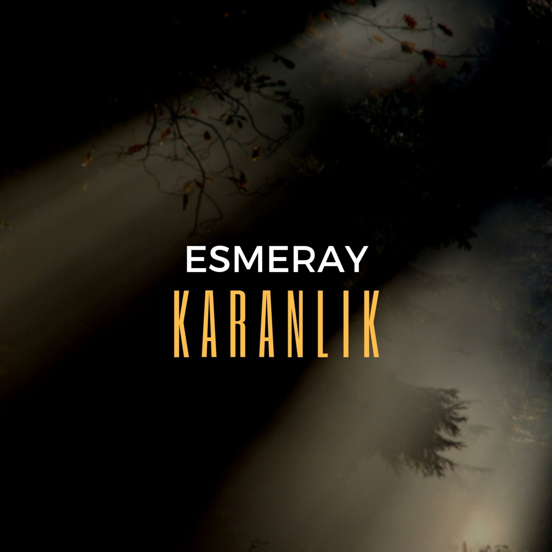 Album cover of Karanlık