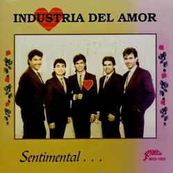Cover of Sentimental…