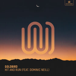 Cover of Hit and Run