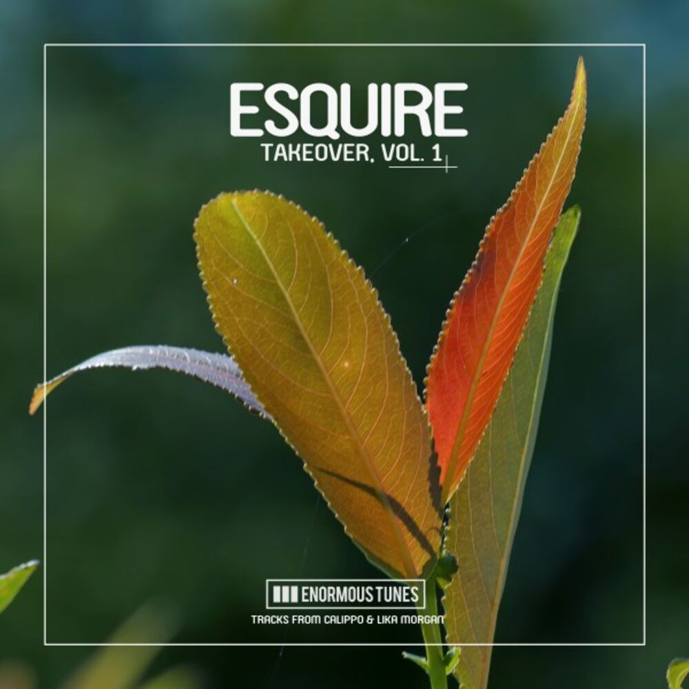 Picture of eSQUIRE Takeover, Vol. 1