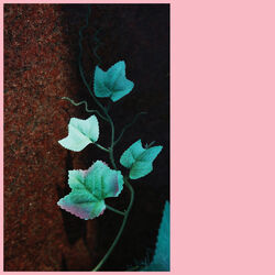 Cover of Jabu & Daniela Dyson