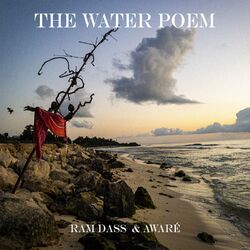 Cover of The Water Poem