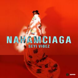 Cover of NAHAMciaga