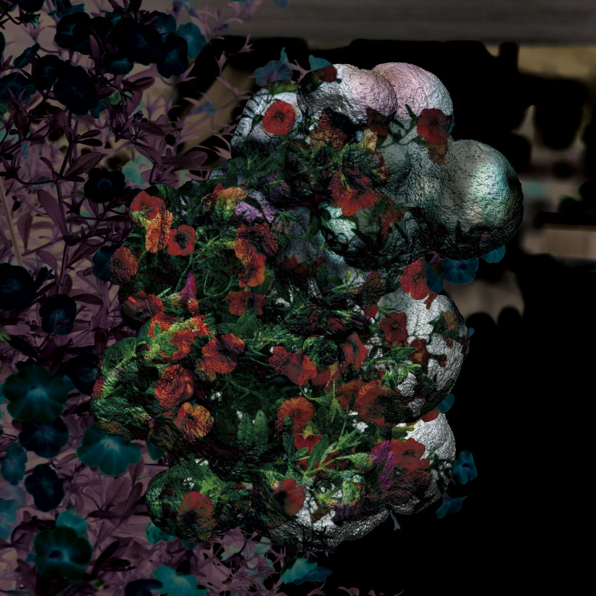 Album cover of Warmth