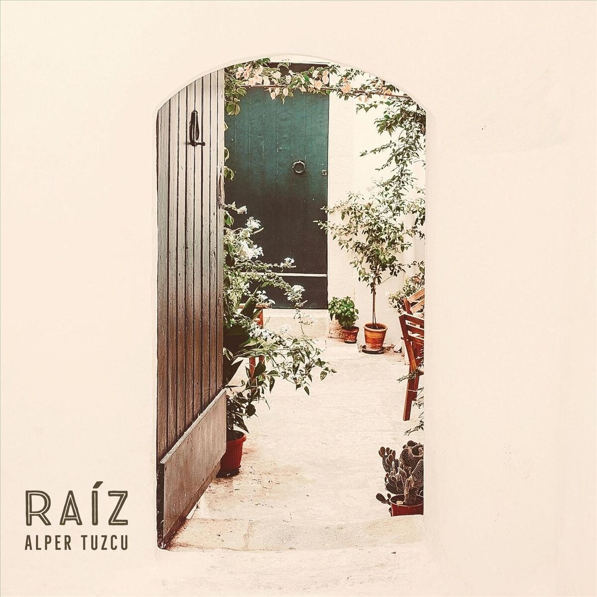 Album cover of Raíz