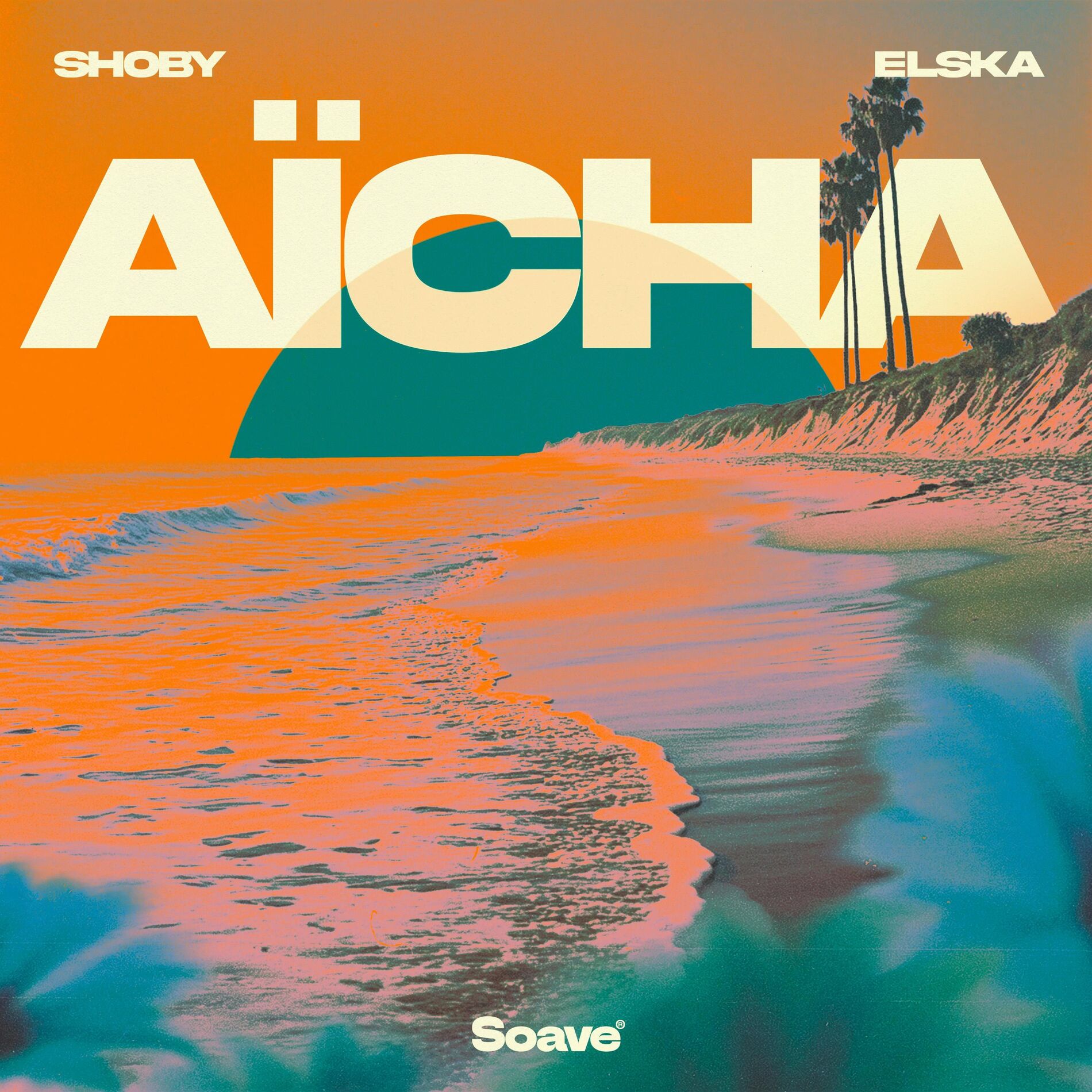 Album cover of Aïcha