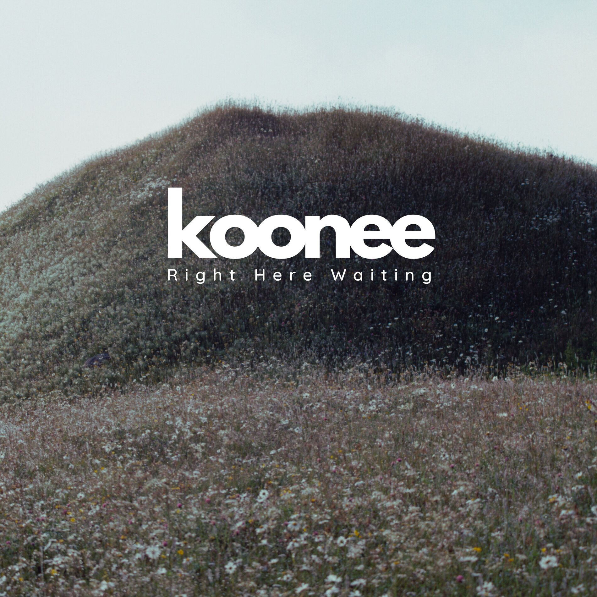 Album cover of Right Here Waiting