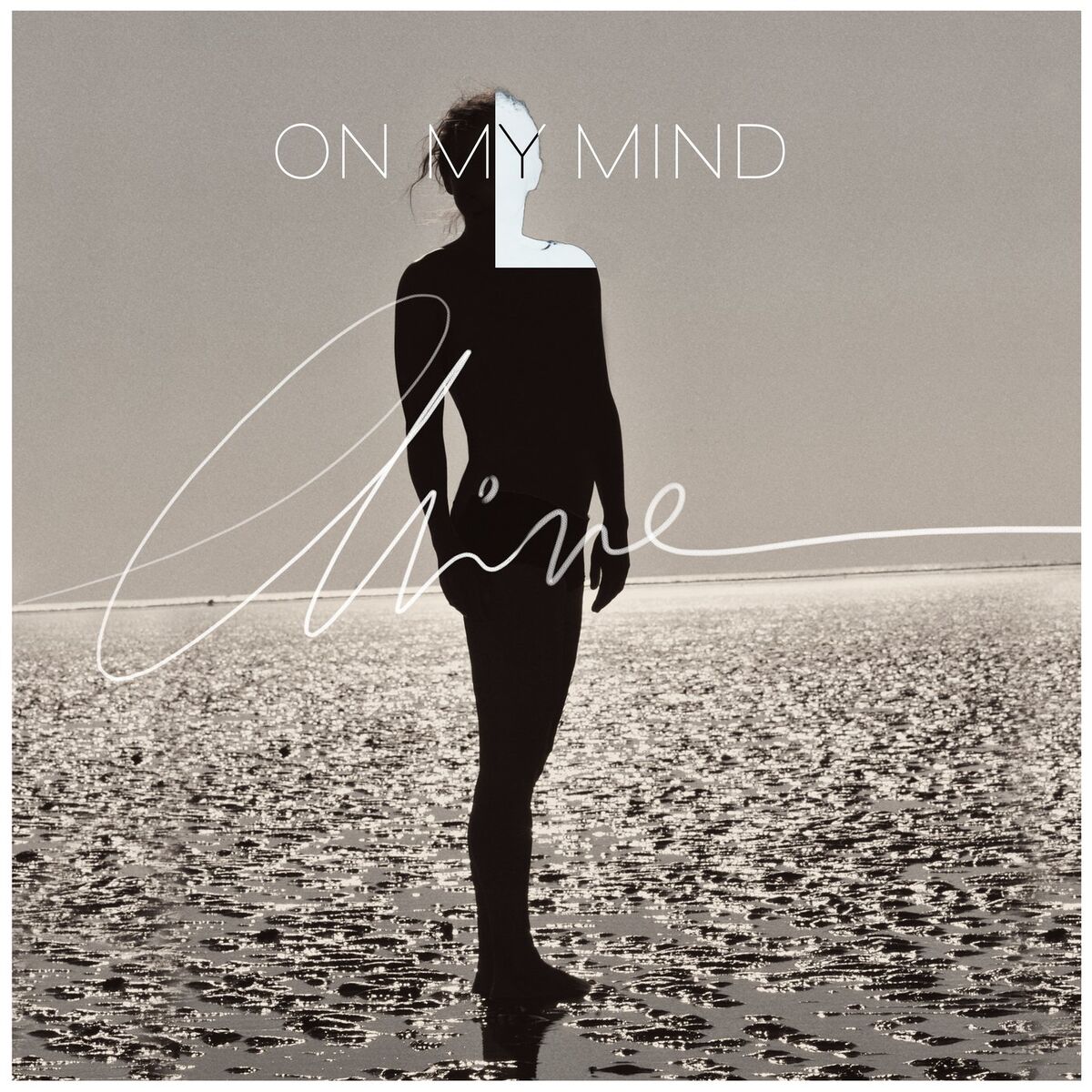 Album cover of Dreamer