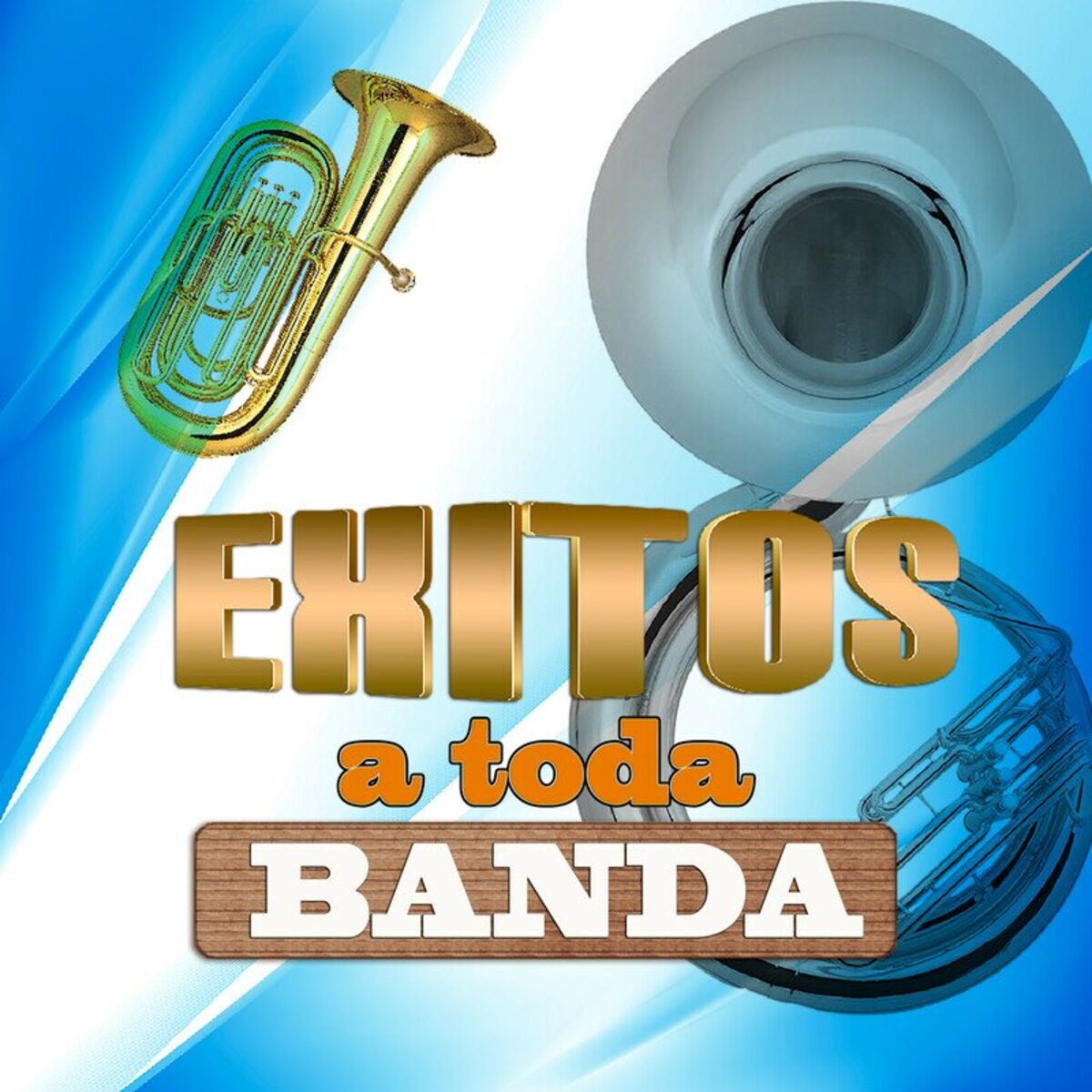 Album cover of Exitos a Toda Banda