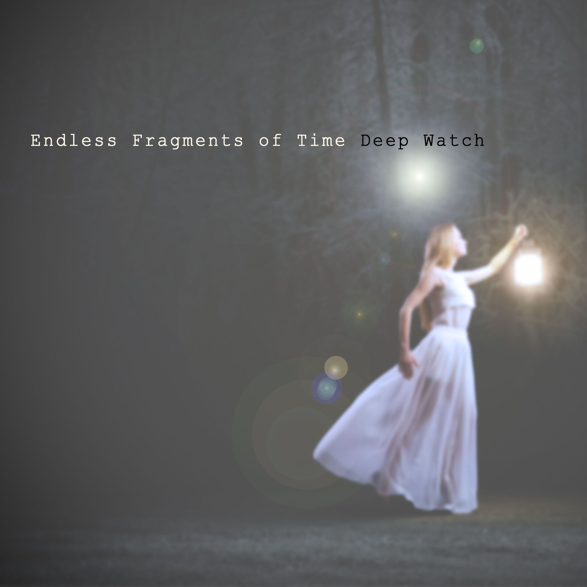 Album cover of Endless Fragments of Time