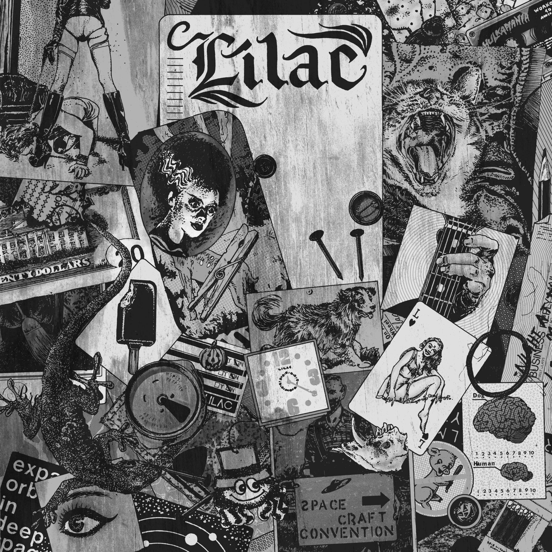 Album cover of Lilac